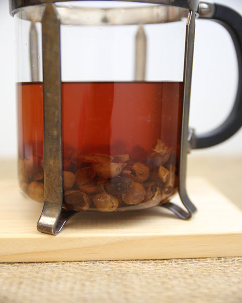 Cascara brewing in plunger