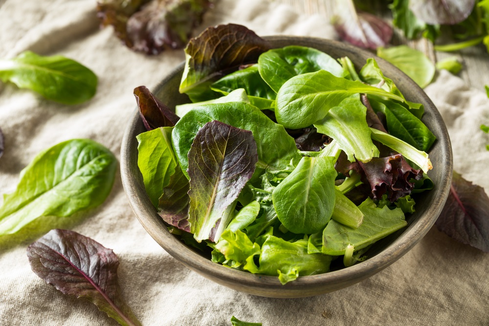 Salad Green Leaves